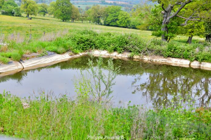 Ancien bassin de rouissage de 'Les Jaults"