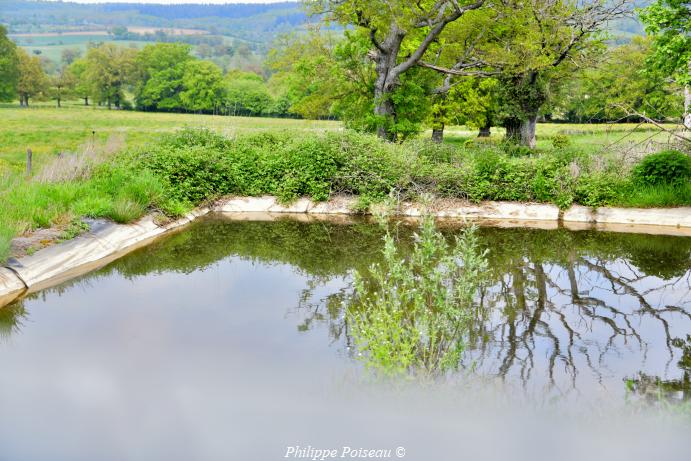 Ancien bassin de rouissage de 'Les Jaults"