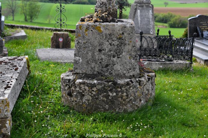 Croix du cimetière de Saint Aubin des Chaumes