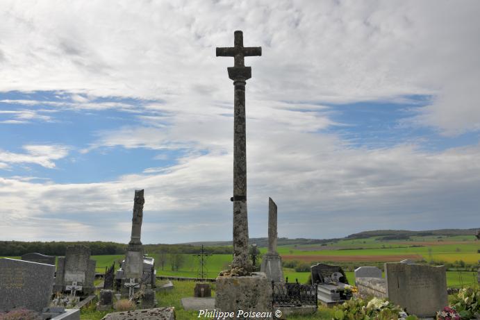 Croix du cimetière de Saint Aubin des Chaumes