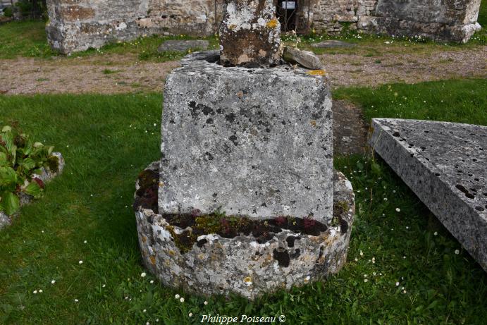 Croix du cimetière de Saint Aubin des Chaumes