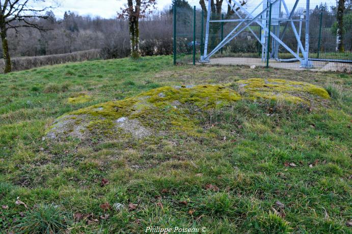 Dolmen des "Plats" de  Marigny l’Église