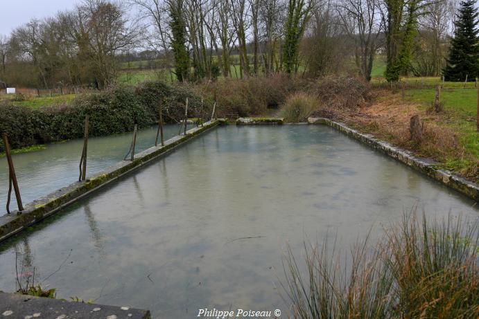 Lavoir de Chasnay