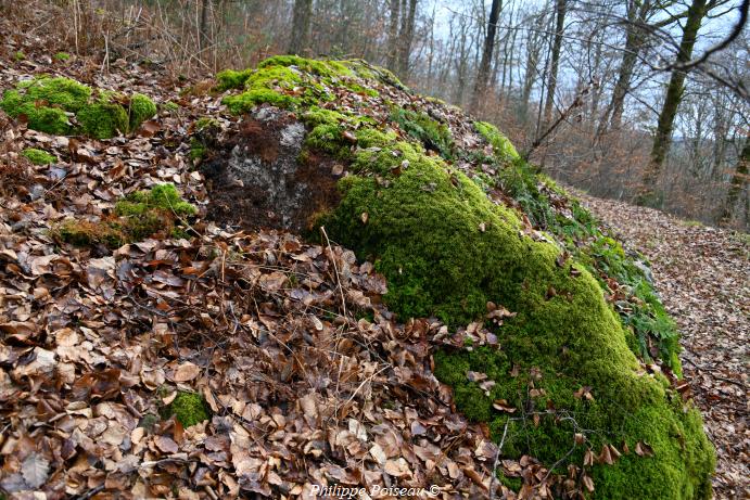 La roche aux Fées