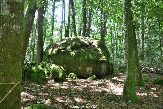 La Roche du Bois "Mousseau" un patrimoine