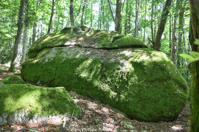 La Roche du Bois "Mousseau" un patrimoine