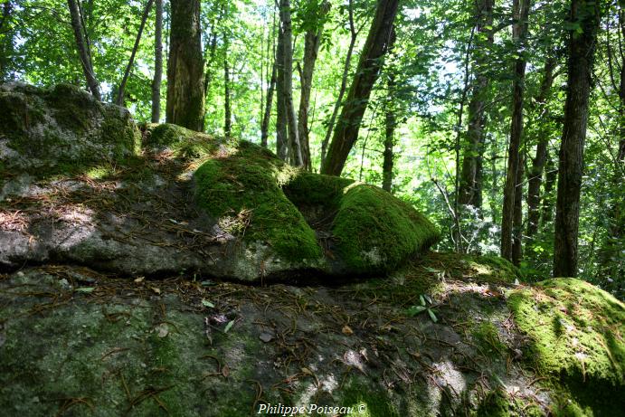 La Roche du Bois "Mousseau" un patrimoine