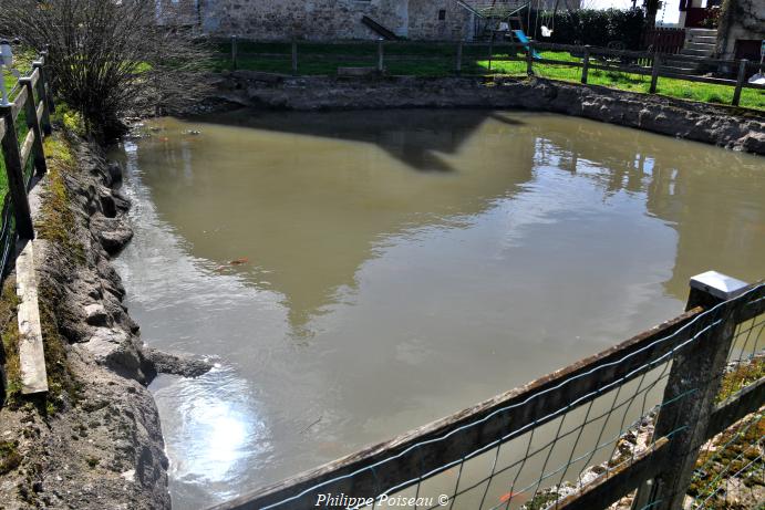 Bassin de rouissage de Certaines