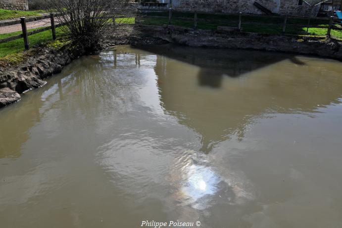 Bassin de rouissage de Certaines