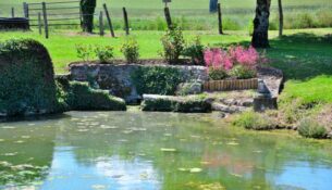 Lavoir de Sauvigny les Bois