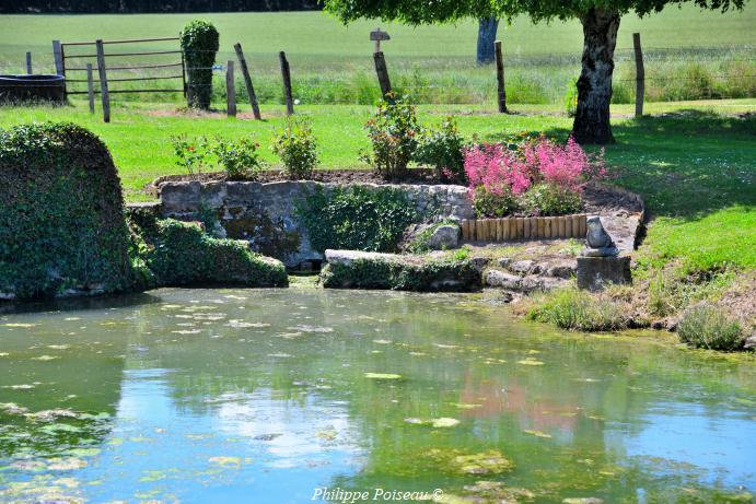 Lavoir de Sauvigny les Bois