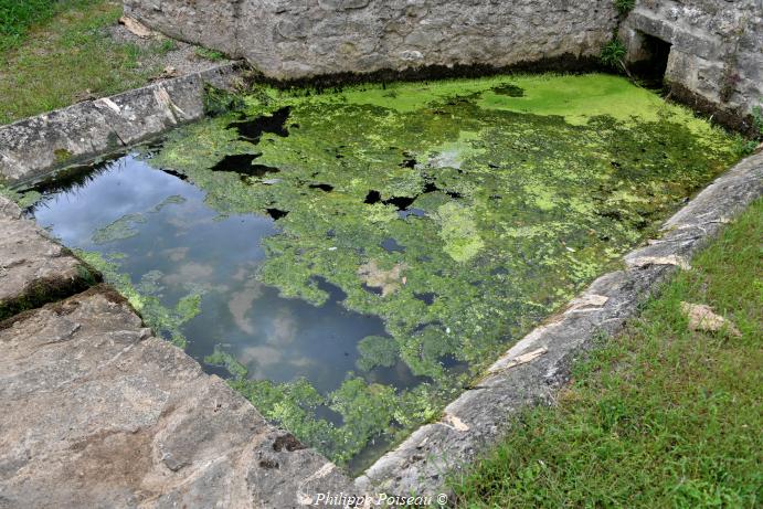 Lavoir sur "l'Haut de la Croix" un patrimoine