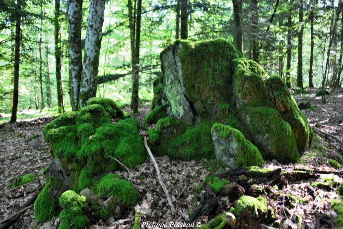 Le Berceau de Haute Roche