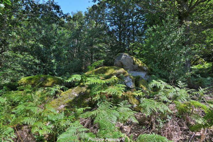 Le Berceau de Haute Roche