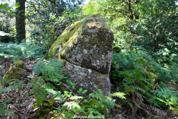 Le Berceau de Haute Roche