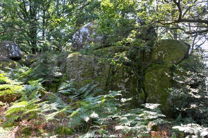 Le Berceau de Haute Roche