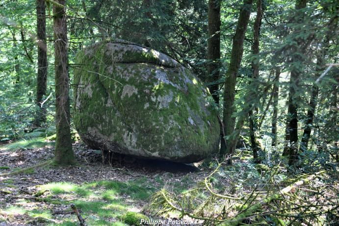 Le Berceau de Haute Roche