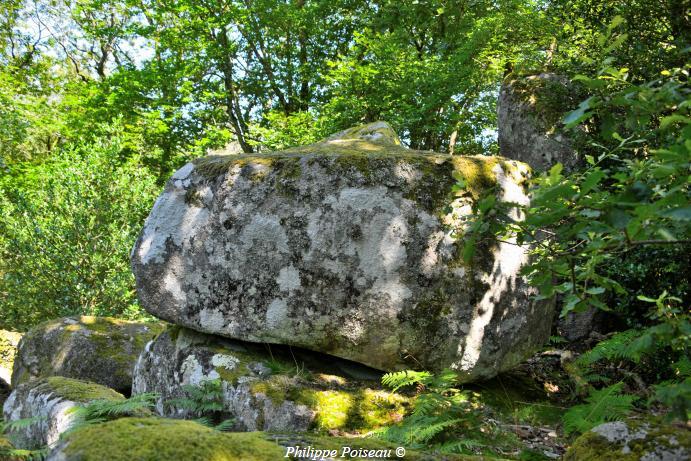 Le Berceau de Haute Roche