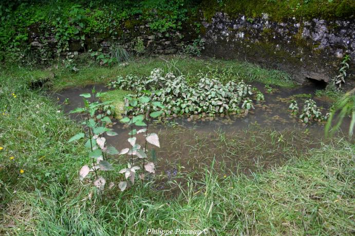 Le lavoir de Tintury un patrimoine