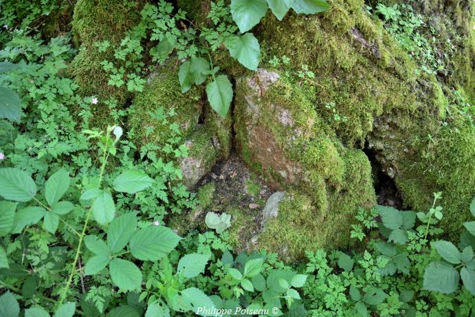 Le siège du Loup