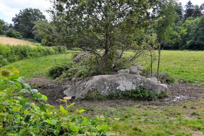 Les Pierres de Chaumotte un patrimoine