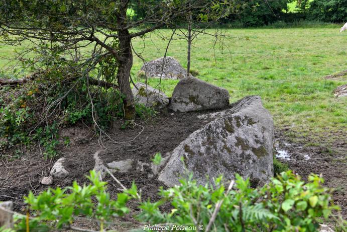 Les Pierres de Chaumotte un patrimoine