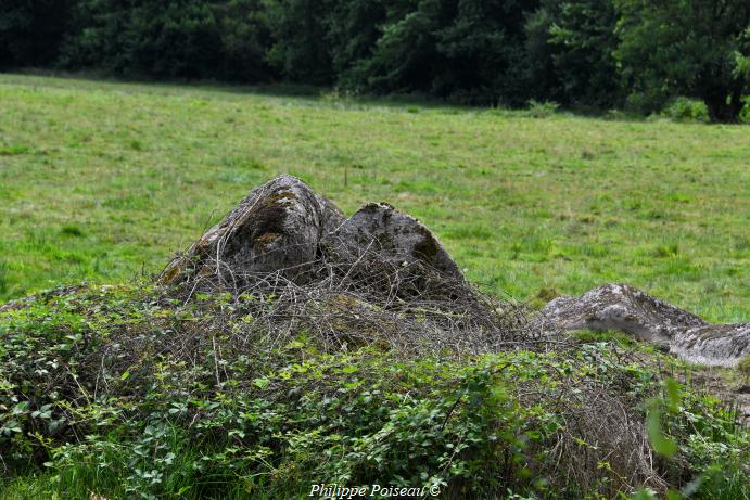 Les Pierres de Chaumotte un patrimoine