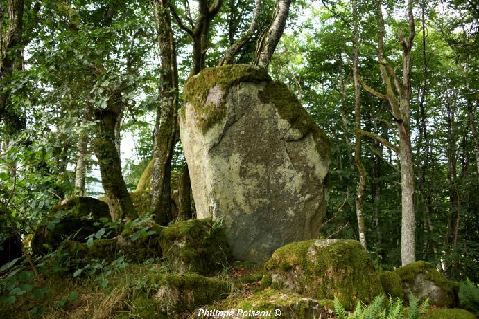 Menhir de la pierre pointe