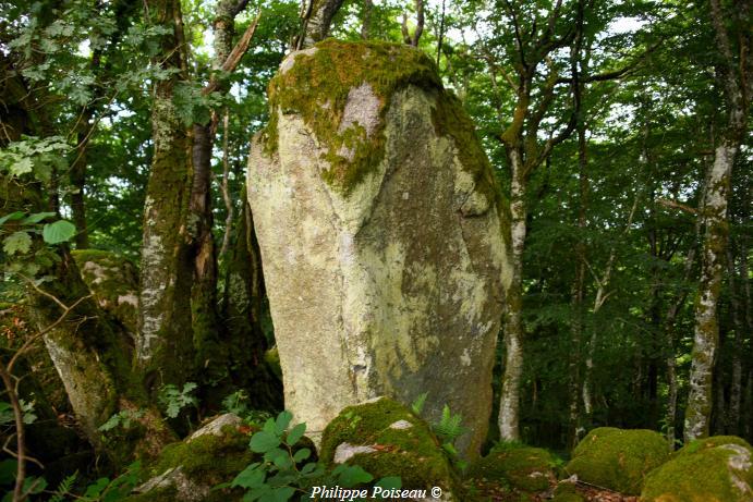 Menhir de la pierre pointe