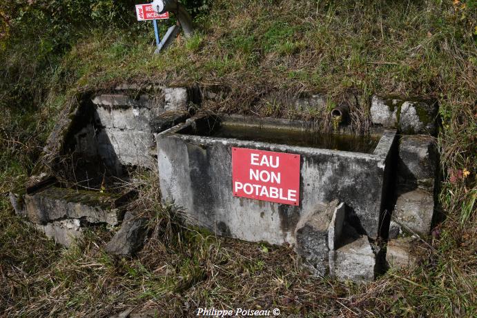 Petit lavoir abreuvoir de Chaulgnes