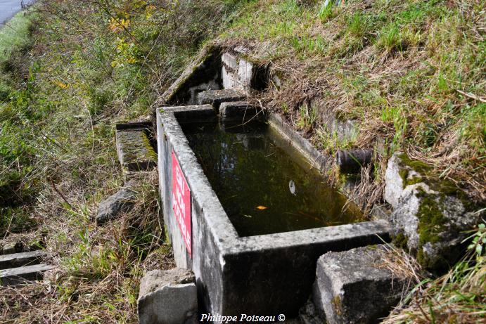 Petit lavoir abreuvoir de Chaulgnes