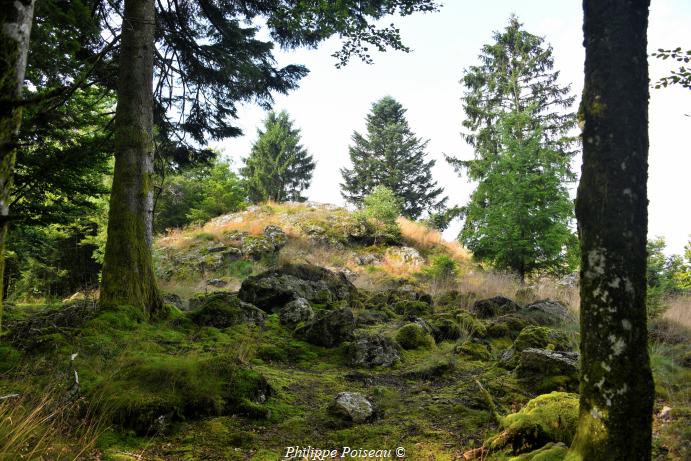 La "Roche de Suize" un patrimoine