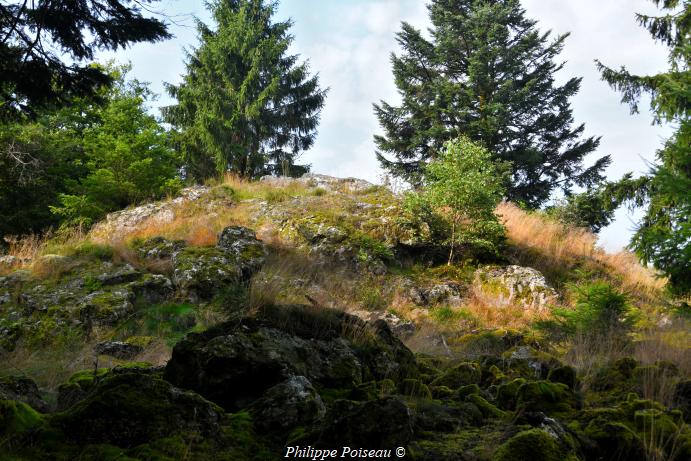 La "Roche de Suize" un patrimoine