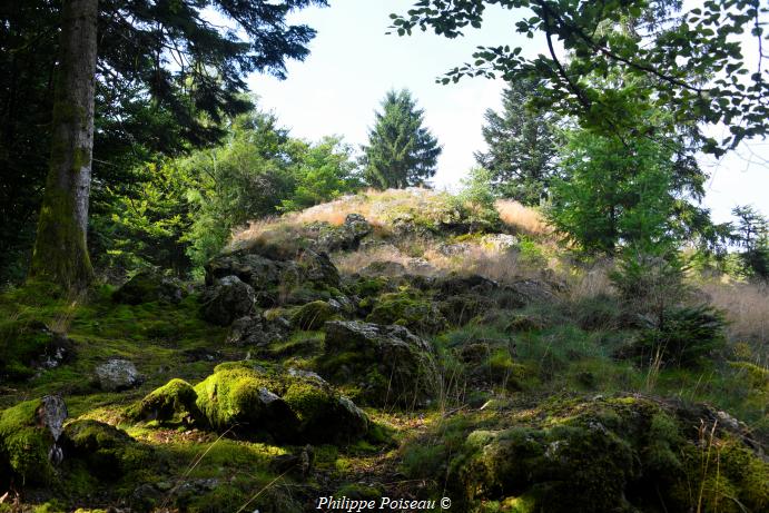 La "Roche de Suize" un patrimoine