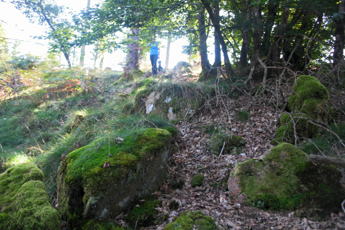 Menhir du "Fou de Verdun"