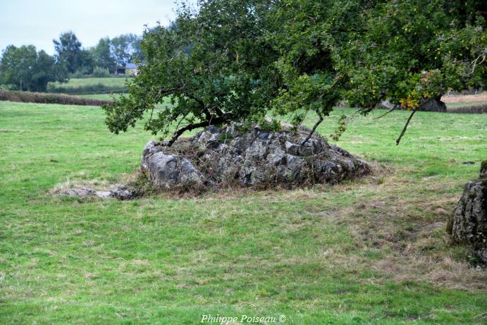 Pas de Saint Martin de "Dragne"