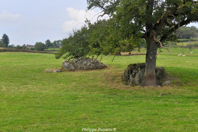 Pierres de "Dragne"