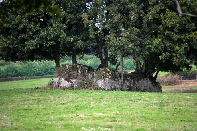 Pas de Saint Martin de "Dragne"