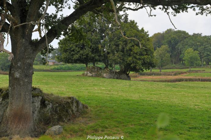 Pas de Saint Martin de "Dragne"