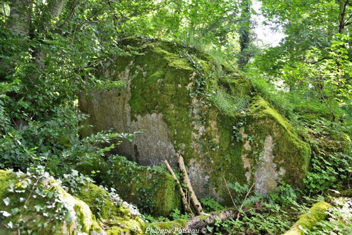 Roches de Château Chinon