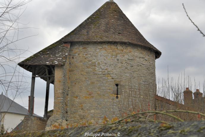 Tour Berthelot de Saint Pierre le Moutier