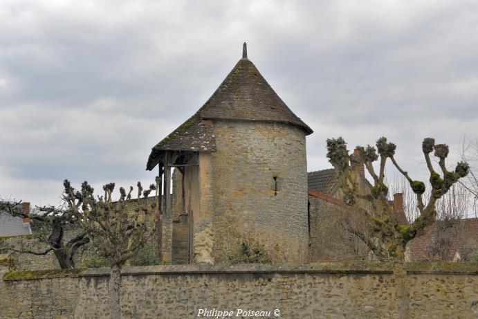 Tour Berthelot de Saint Pierre le Moutier